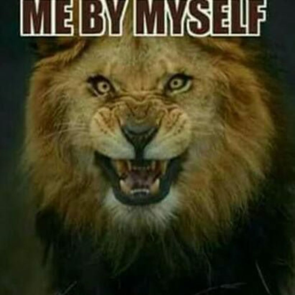 Meet your Posher, Ketrona